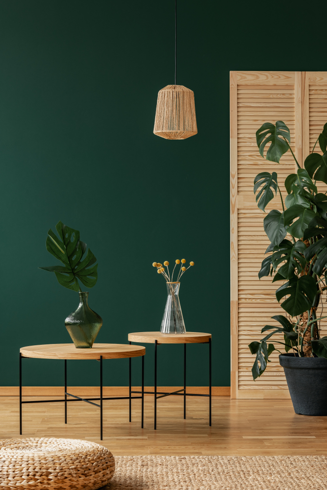 Lamp,Above,Tables,With,Plants,In,Green,Natural,Living,Room