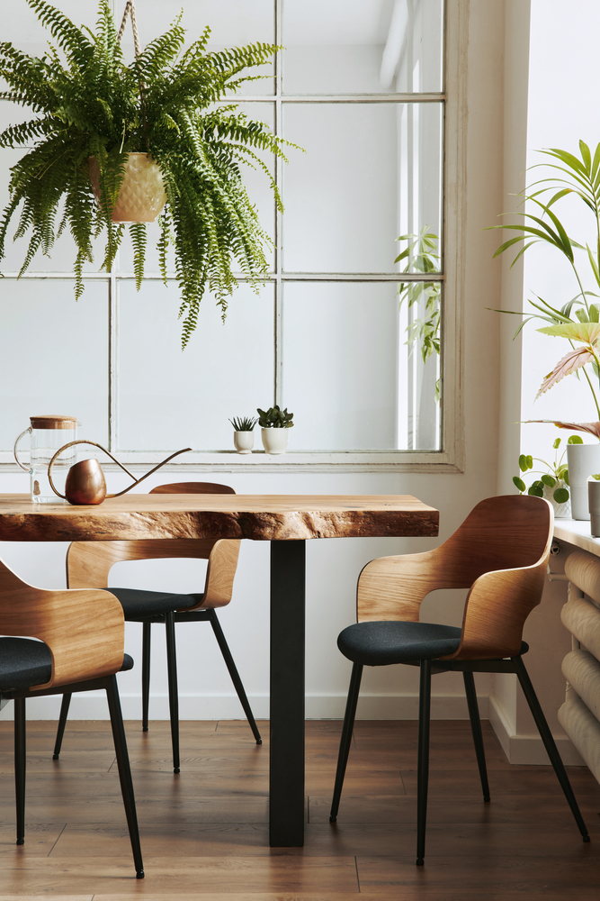 Stylish,And,Botany,Interior,Of,Dining,Room,With,Design,Craft