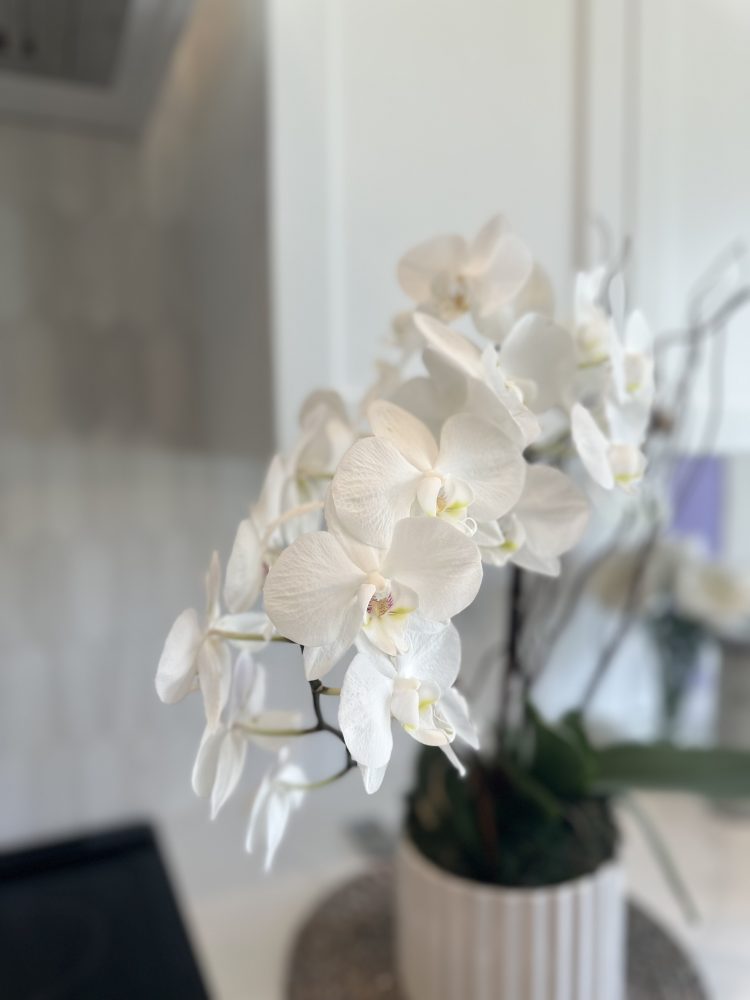 how to care for orchids after blooming 10 scaled