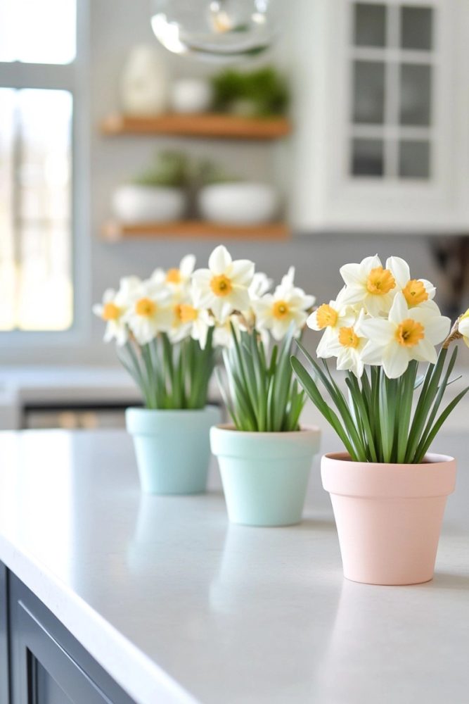 spring table centerpieces Mini Potted Daffodils