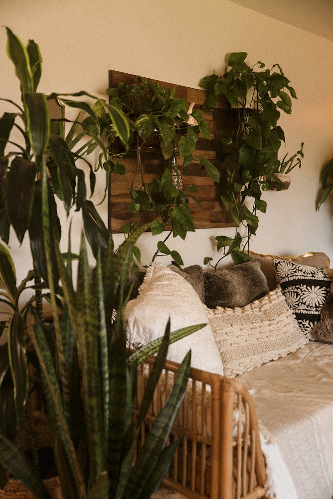 Warm and inviting living room featuring a living plant wall
