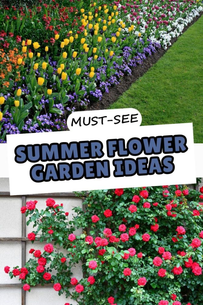 19 Summer Flower Garden Ideas That’ll Make Your Yard Look Effortless