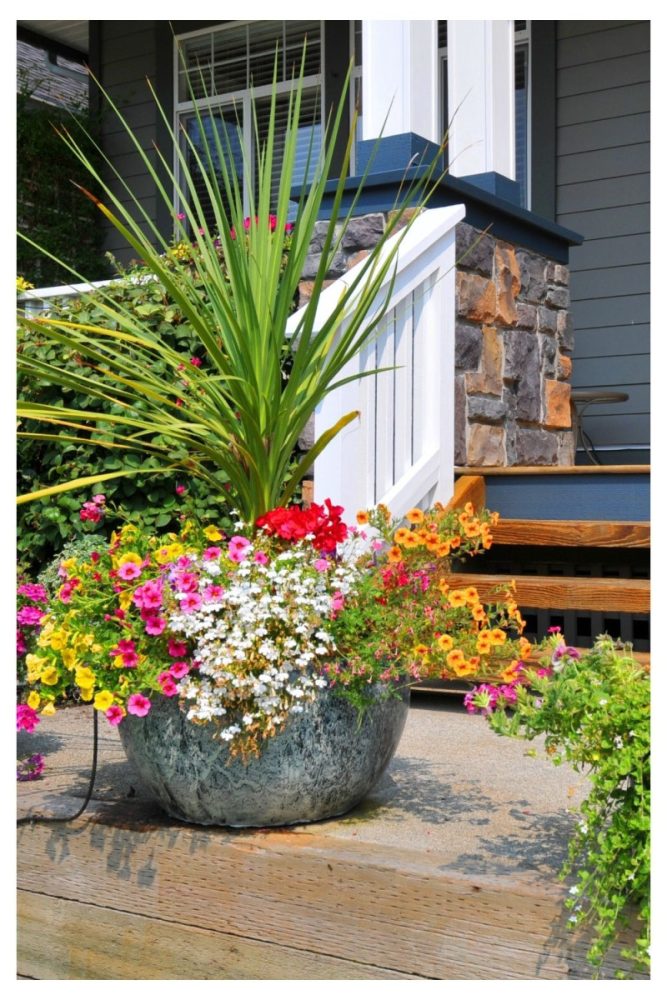 Cement Planters with Structured Greens V