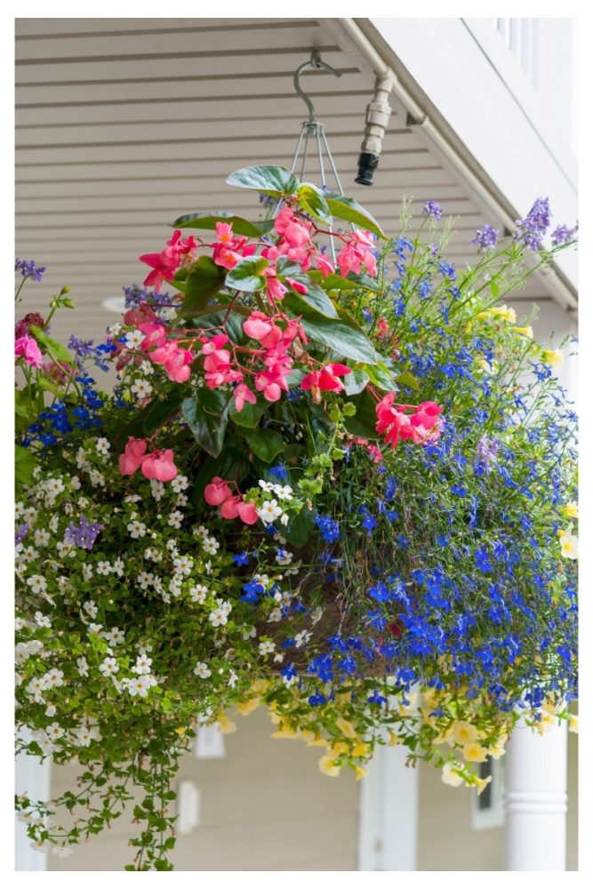 Hanging Baskets with Trailing Petunias Front Porch Flower Ideas That Basically Feel Like a Welcome Hug