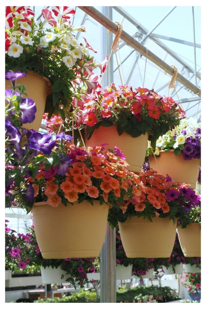 Hanging Buckets on Wall Hooks Front Porch Flower Ideas That Basically Feel Like a Welcome Hug