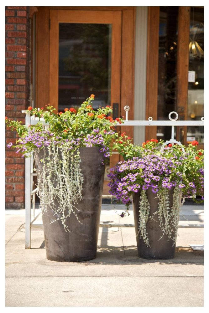 Mixed Planters by the Front Door Summer Flower Garden Ideas That’ll Make Your Yard Look Effortless