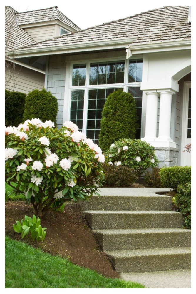 Monochrome Moment All White Blooms Front Porch Flower Ideas That Basically Feel Like a Welcome Hug