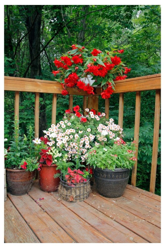 Porch Steps in Full Bloom Front Porch Flower Ideas That Basically Feel Like a Welcome Hug