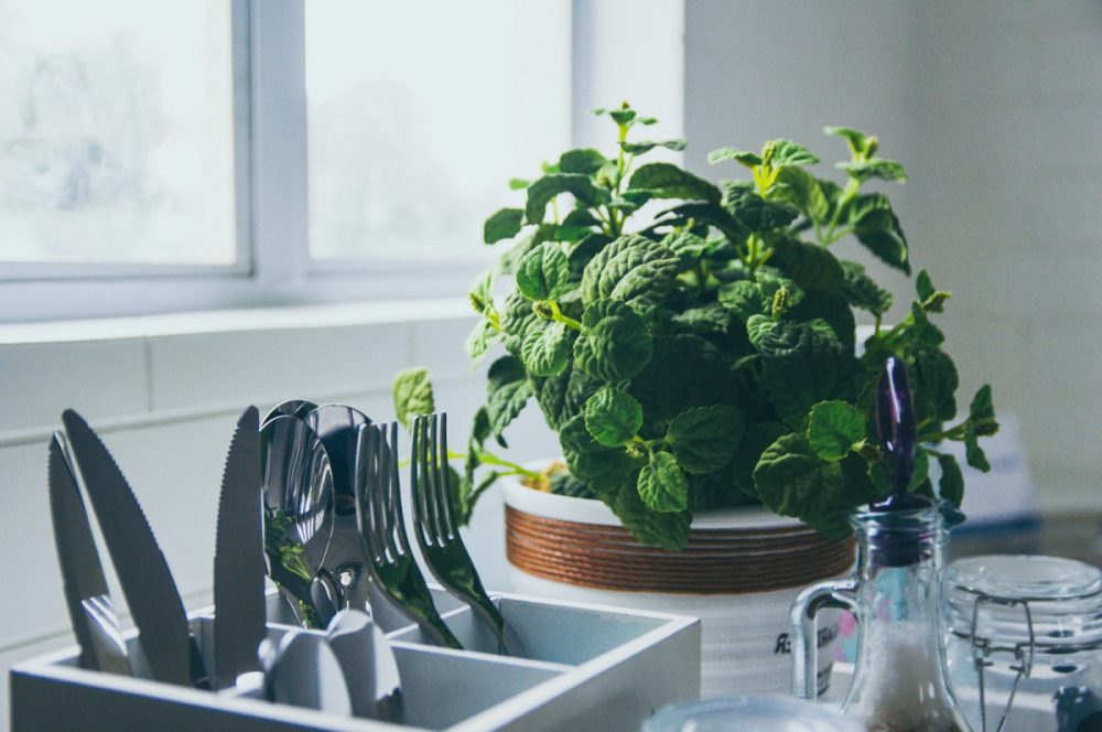 KITCHEN COUNTER DECORATING IDEAS OF AN HERB GARDEN
