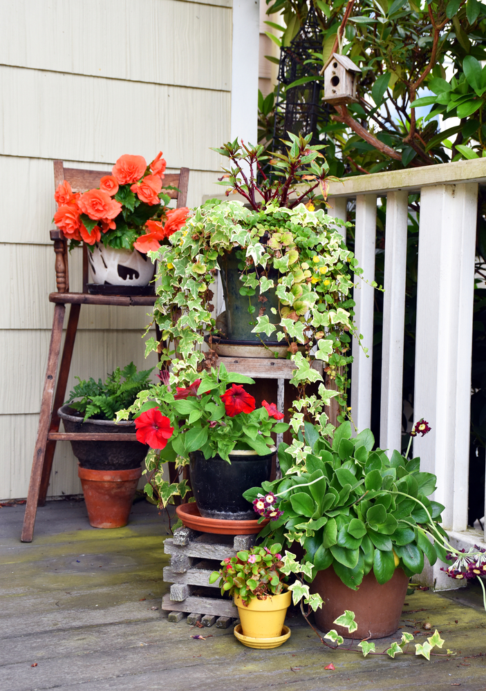 Shabby,Porch,Corner,With,High,Chair,,Fern,,Begonias,,Ivy,And