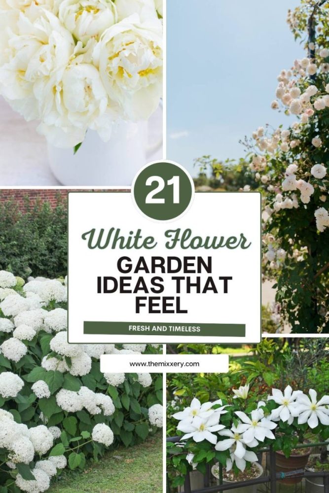 21 White Flower Garden Ideas That Feel Fresh and Timeless