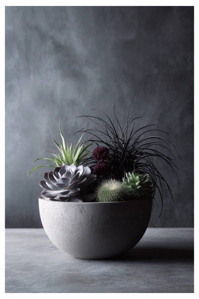 Charcoal Succulent Cluster halloween floral centerpieces