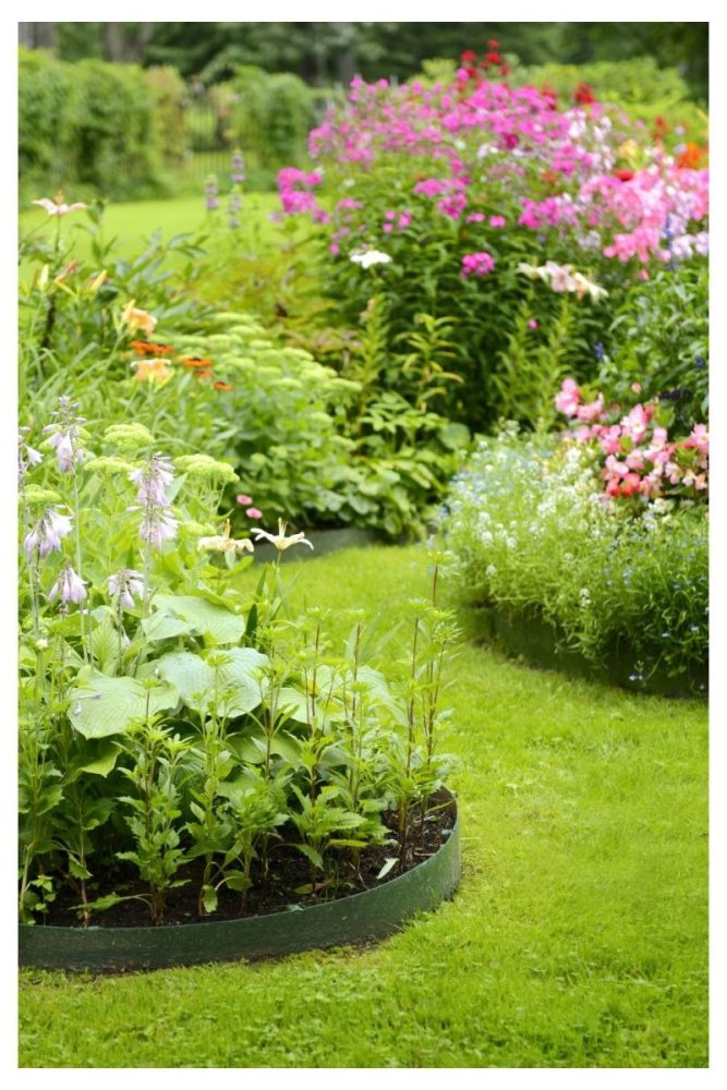 Curved Front Yard Border with Mixed Colors garden flower bed ideas