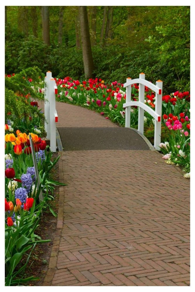 Evergreen Structure for Year Round Contrast fall flower garden ideas