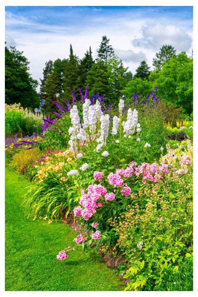 Grassy and Floral Mix garden flower bed ideas
