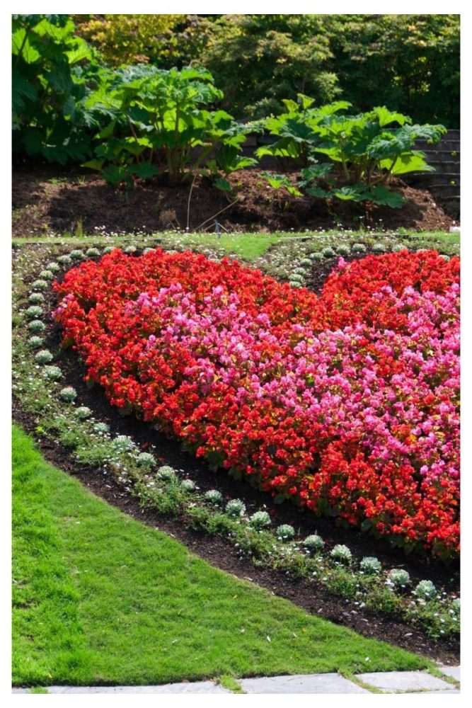 Heart or Shape Themed Beds garden flower bed ideas