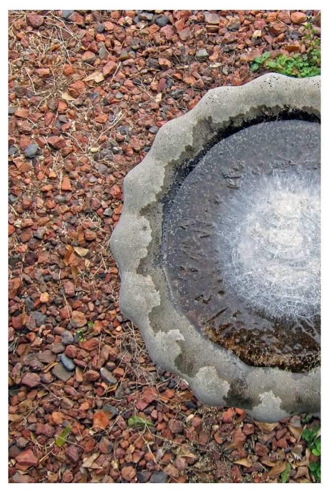 Hidden Ground Level Basin Bird Bath Ideas
