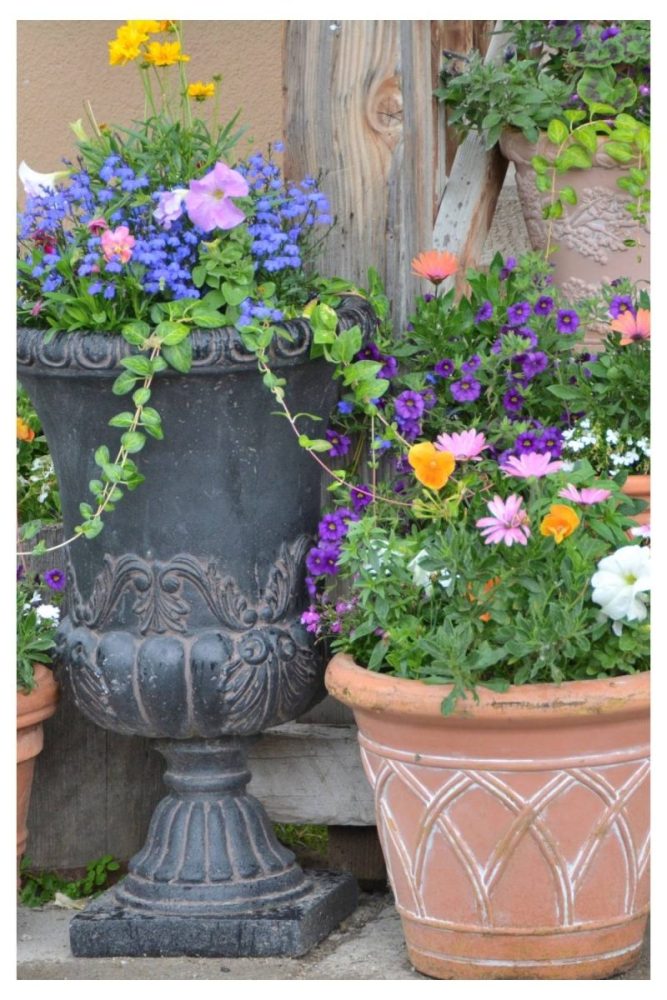 Mismatched Clay Pots in a Tight Color Story Porch Flower Pot Ideas
