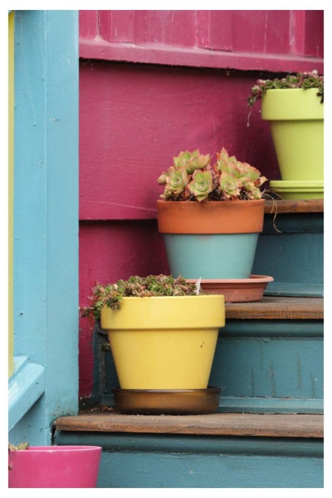 Painted Pots with Matching Blooms Porch Flower Pot Ideas