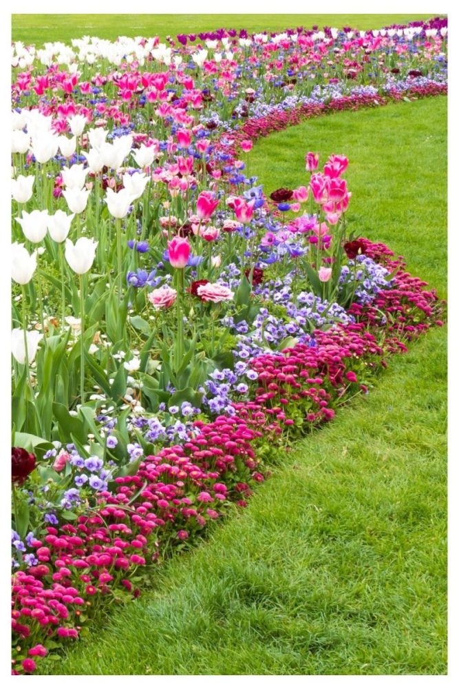 Pollinator Friendly Bed garden flower bed ideas