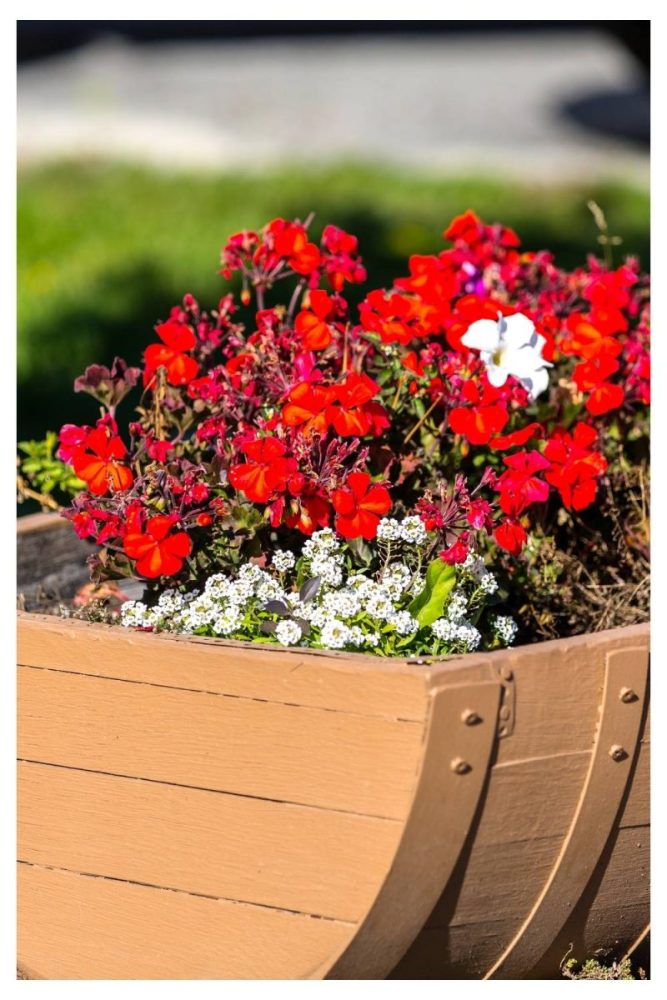 Raised Wooden Planters with Fall Foliage fall flower garden ideas