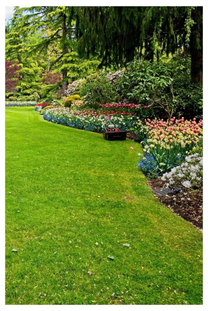 Side Yard Strip Bed garden flower bed ideas
