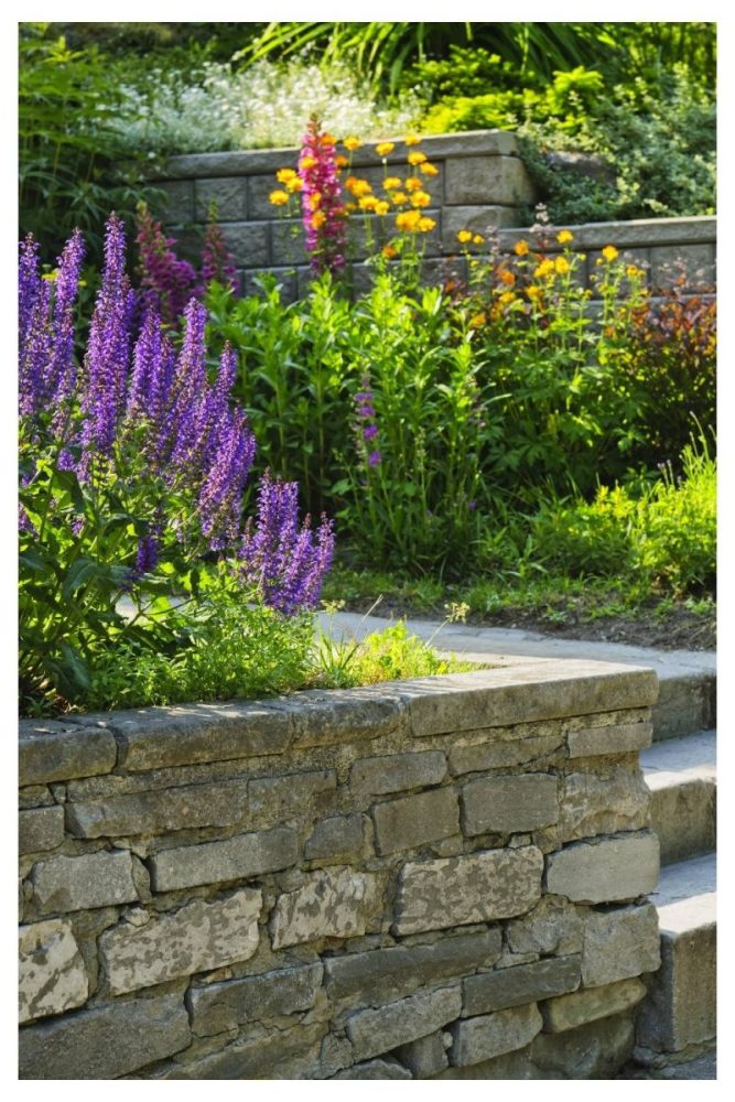 Spillover Blooms on a Low Stone Wall wild flower garden ideas