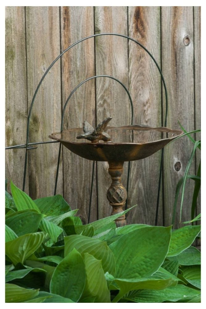 Tall Iron Bird Bath with Legs Bird Bath Ideas