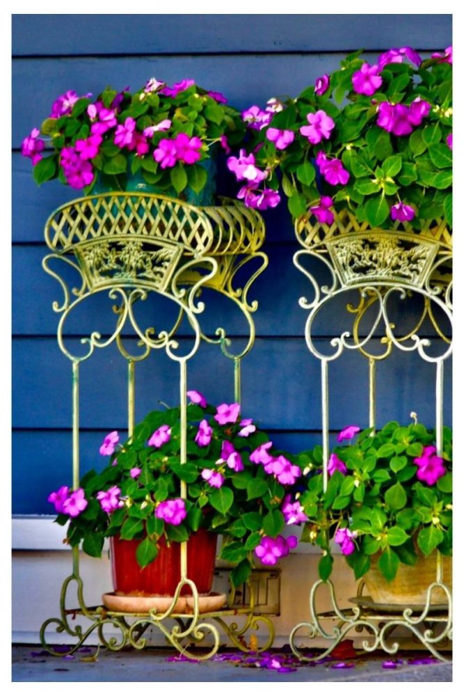 Vertical Plant Stand with Tiny Pots Porch Flower Pot Ideas