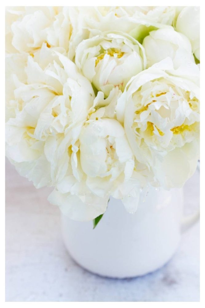 White Peonies as a Centerpiece Plant white flower garden ideas