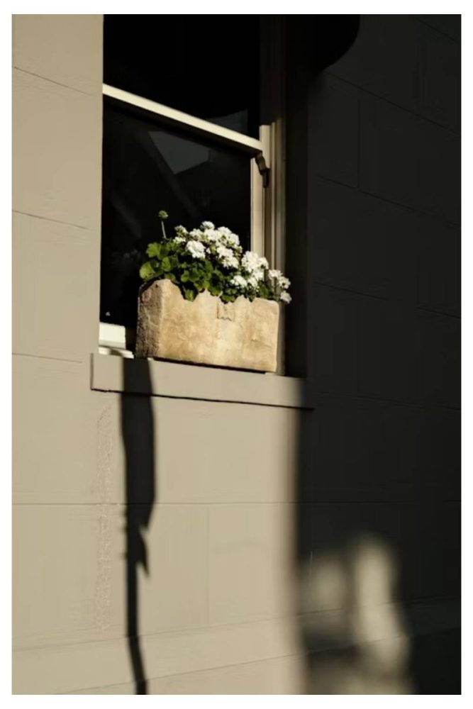 Window Boxes with White Flowers and Vines white flower garden ideas