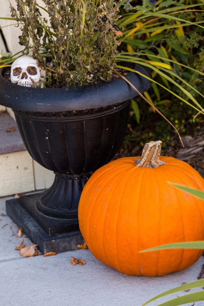 halloween porch skulls