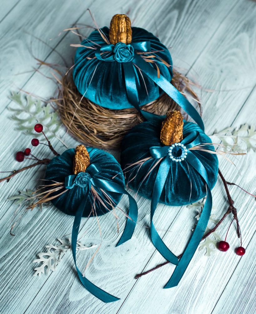 velvet pumpkins