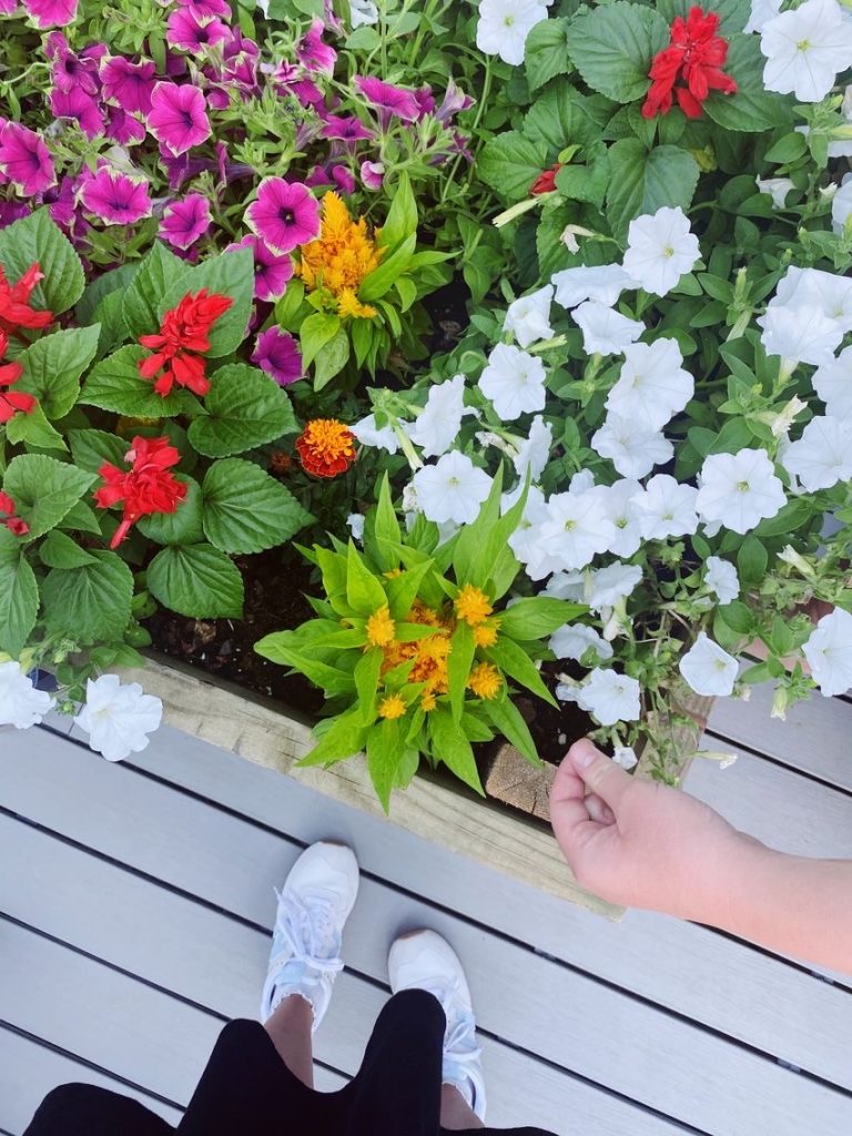 Low-Maintenance Landscaping Ideas That Actually Look Good | The Mixxery